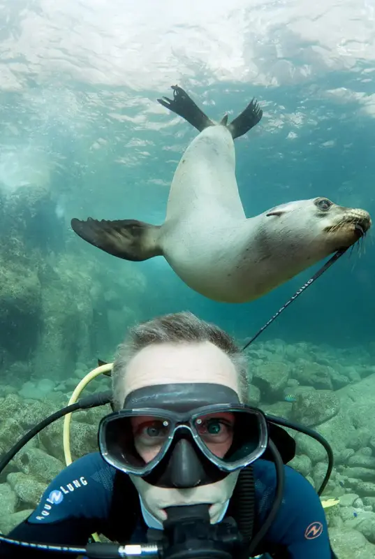 Fujairah Snorkeling Adventure