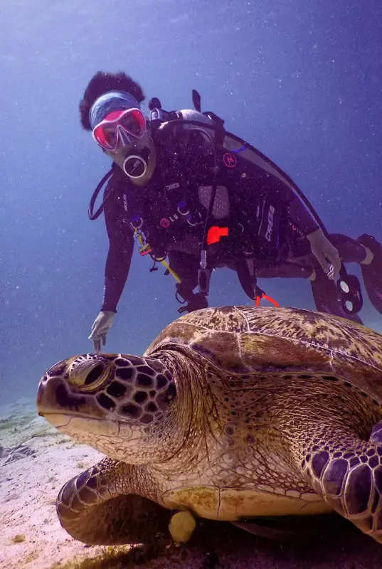 Fujairah Snorkeling Adventure